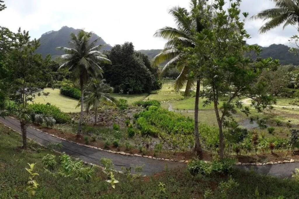 Studio Bord De Mer Fare Tahitea Pension Taputapuapea Exterior foto
